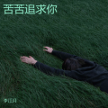 李江月 - 苦苦追求你