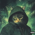 Anti (feat. Xzibit, Styles P & Stunna 4 Vegas) [Explicit]