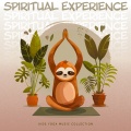 Spiritual Experience