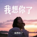 自在小哥 - 我想你了 (甜蜜版)