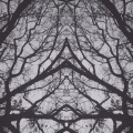 xcloses - LED