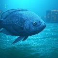 强风吹拂 - Big Fish