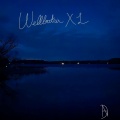 Wellbutrin XL