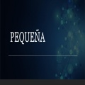 Marco Aróstegui - Pequeña