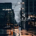 王佳音 - 很短暂很遗憾