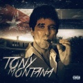 FBK - Tony Montana