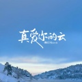 赖仔Morris - 真爱你的云