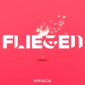 FLIEGEN