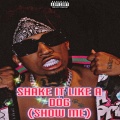 T-Hicks - Shake It Like A Dog
