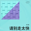 田小桑 - 请别走太快
