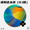 田小桑 - 请别走太快 (DJ版)