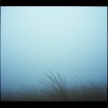 바람의 노래