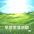 追梦 - 草原美草原醉