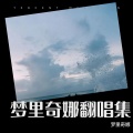 梦里奇娜 - 嫁了个好老汉