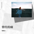 曾经的痛