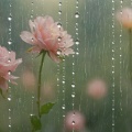 张豫 - 虞美人·听雨