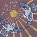 Sparkbird、Stephan Nance - Blue Jay