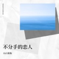 小白菜狗 - 几缕悲欢