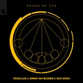 Pendulum、Armin van Buuren、Rob Swire - Sound of You