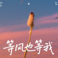 海杰 - 等风也等我