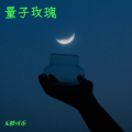 无糖可乐 - 量子玫瑰
