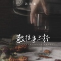 孙茹雪 - 敬往事三杯