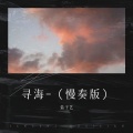 盐子艺 - 寻海- (慢奏版)