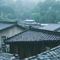 牙箍妹 - 大雨吹过青瓦房