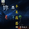 雾都游子 - 你来不来我都在等你
