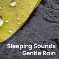 Sleeping Sounds: Gentle Rain