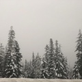 Jonah Mueller - Finland