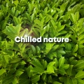 Chilled Nature