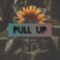 Pull Up (Explicit)