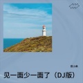 田小桑 - 见一面少一面了 (DJ版)