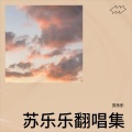 苏乐乐 - 新雨摇 (苏乐乐 remix)
