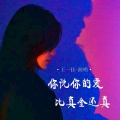 王一佳 - 你说你的爱比真金还真