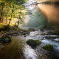 The Serenity Electronic Music: Music For Deep Relaxation