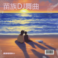 梅浪情缘DJ - 劲爆DJ中文舞曲