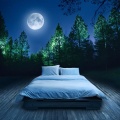 Gentle Rest Lofi、Quiet Night Lofi、Nightly Lofi - The Calm Rhythm