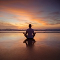 LoFi HipHop Guru、Meditation Music Society、Radiant Meditation Harmonies - Mindful Rhythms for Growth