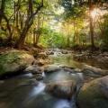 Tranquil Beats: Hip Hop for Unwinding