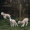 Soleil Ahvi、dreamsoda、Velours、lilster、Lexz、Cruz Knox、imxgine - Solitude in Sepia