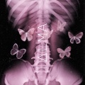 Aspen Arctic、Cruz Knox、Velours、BadKarma、Lexz、lilster - TOstaCH