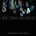 I Won't Waste Another Day (Radio Edit)