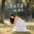 谁也不爱 - 等我笑着说再见