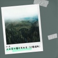 田小桑 - 从未真正懂过我的苦 (DJ慢摇版)