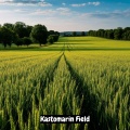 KastomariN - Field