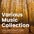 Various Music Collection Vol.264 -Selected & Music-Published by Audiostock-