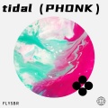 FLYSBR - tidal
