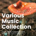 Various Music Collection Vol.273 -Selected & Music-Published by Audiostock-
